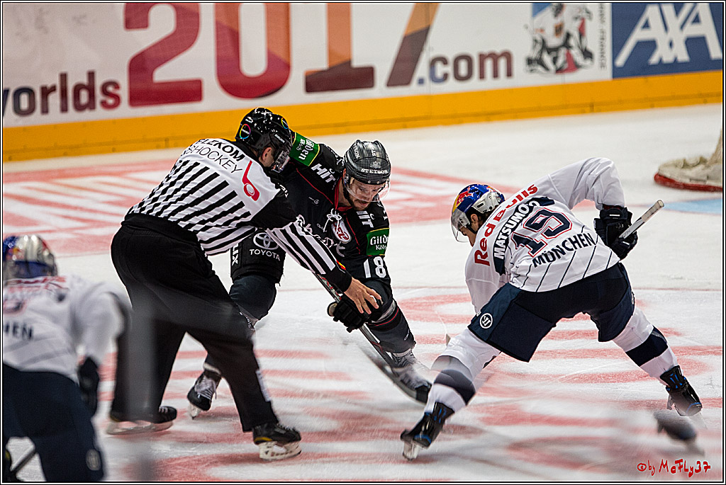 Koelner Haie - EHC Red Bull Muenchen , 16.09.16(KW37)